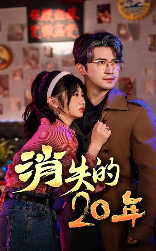 消失的20年封面