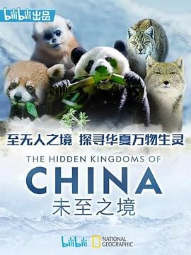 未至之境 普通话版封面