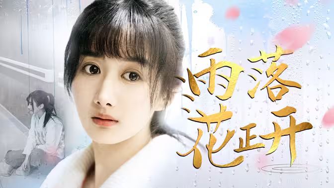 雨落花正开封面