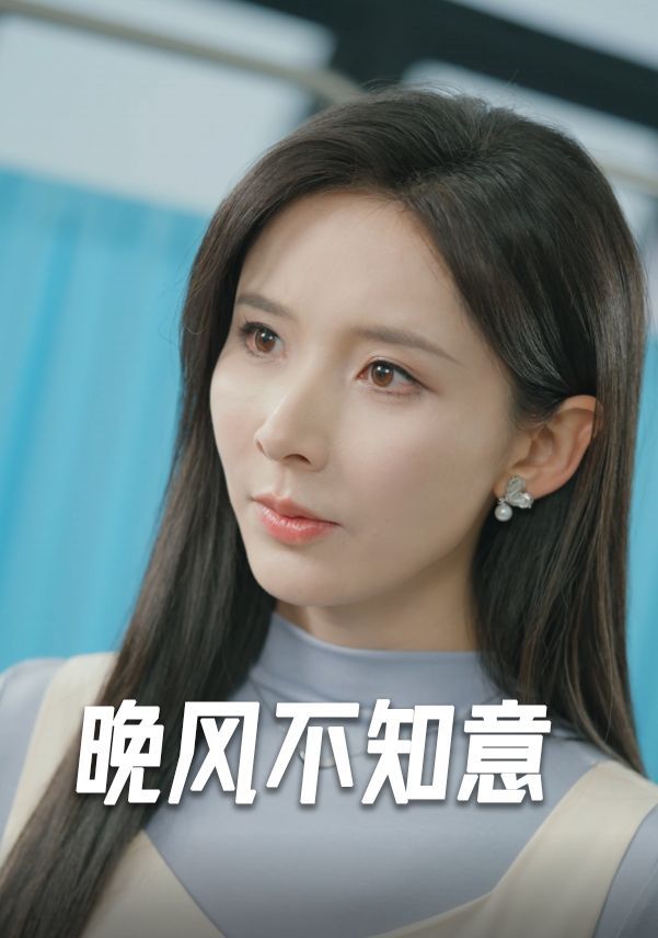 晚风不知意封面