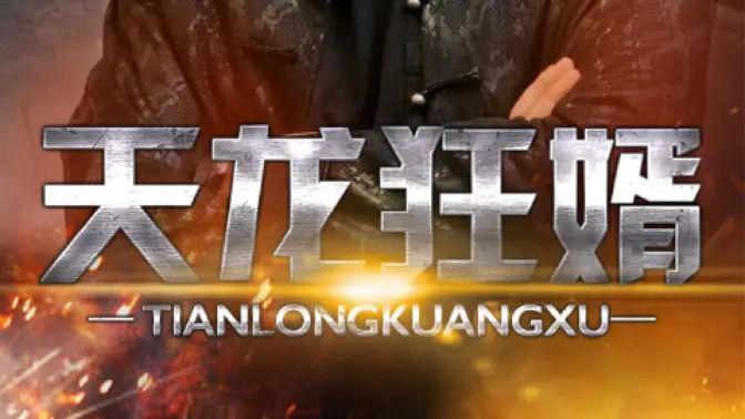 天龙狂婿封面