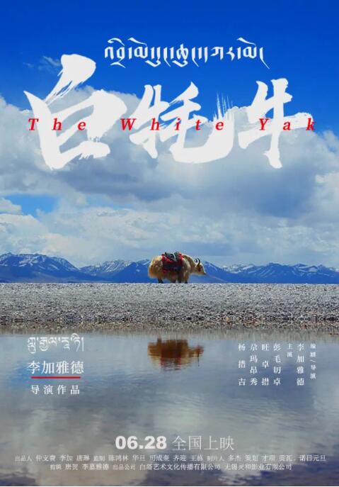 白牦牛封面