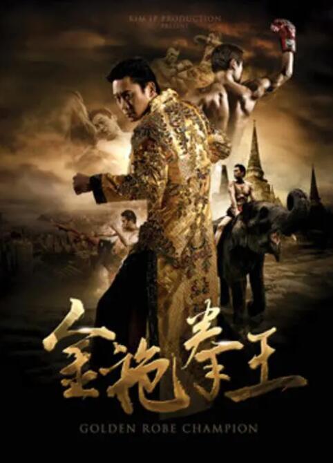 金袍拳王封面