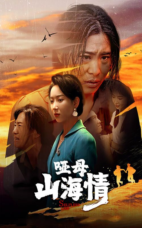 哑母山海情封面