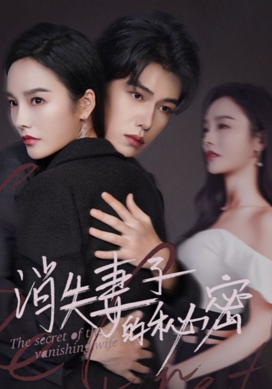 消失妻子的秘密封面