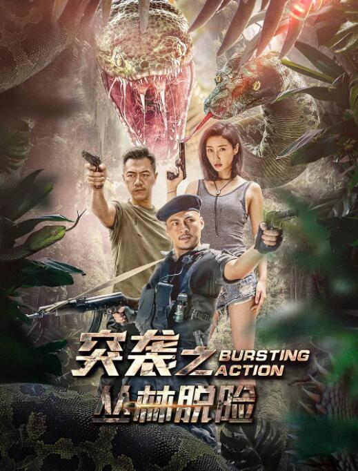 突袭之丛林脱险封面
