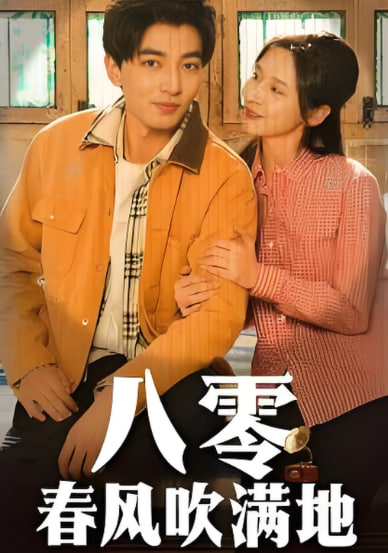 八零春风吹满地封面