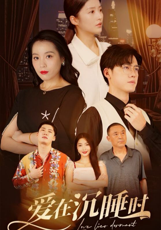 爱在沉睡时封面