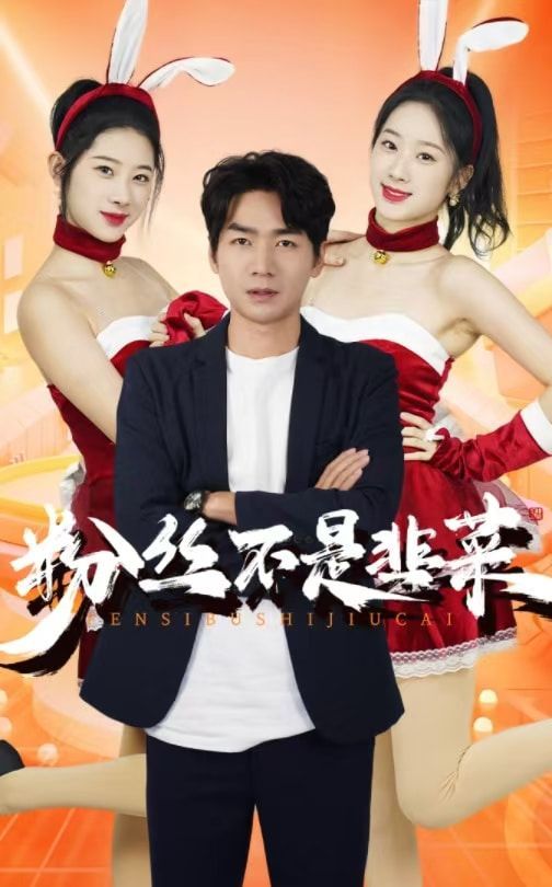 粉丝不是韭菜（一战成名）封面