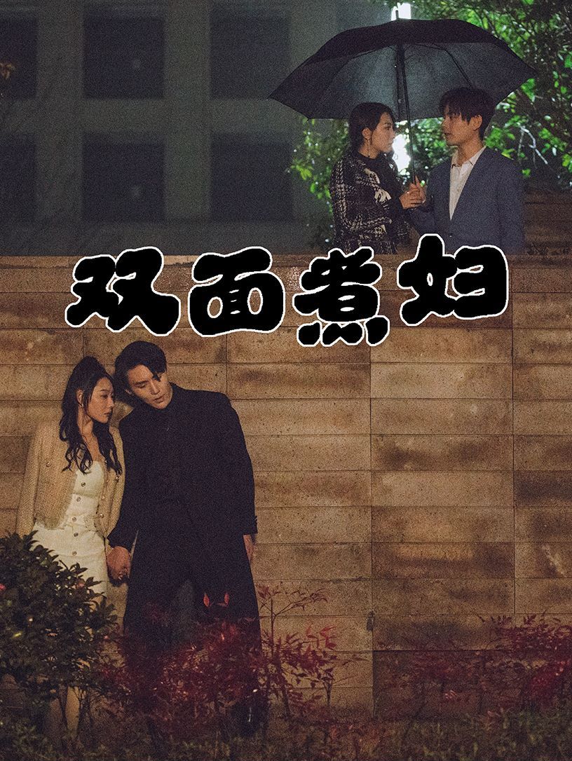 双面煮妇封面