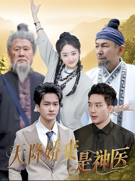 天降娇妻是神医封面