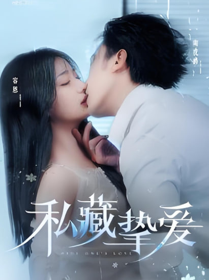 私藏挚爱封面
