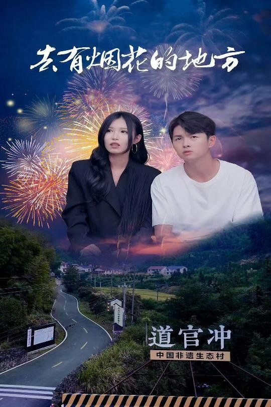 去有烟花的地方封面
