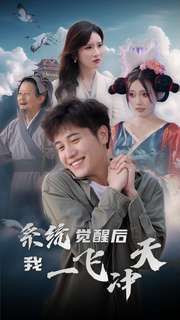 系统觉醒后我一飞冲天封面
