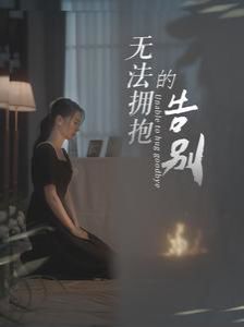 无法拥抱的告别封面