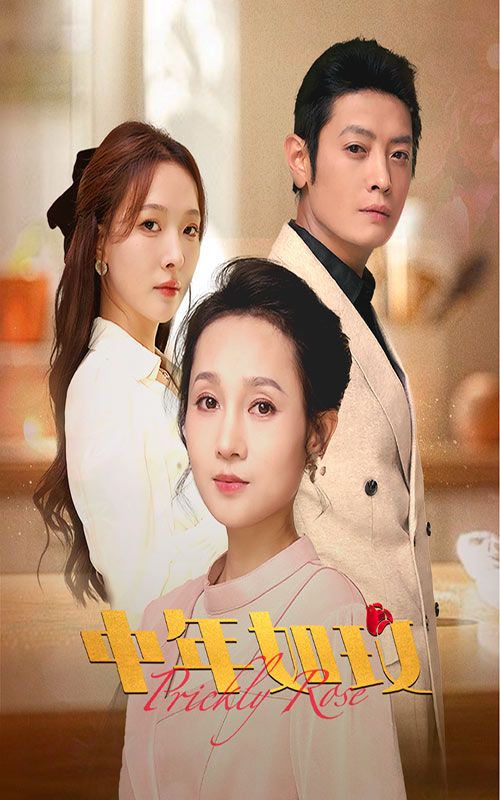 中年如玫封面