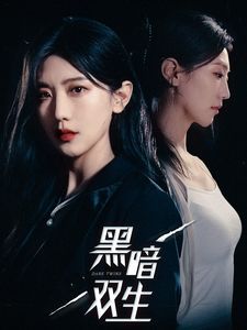 黑暗双生封面