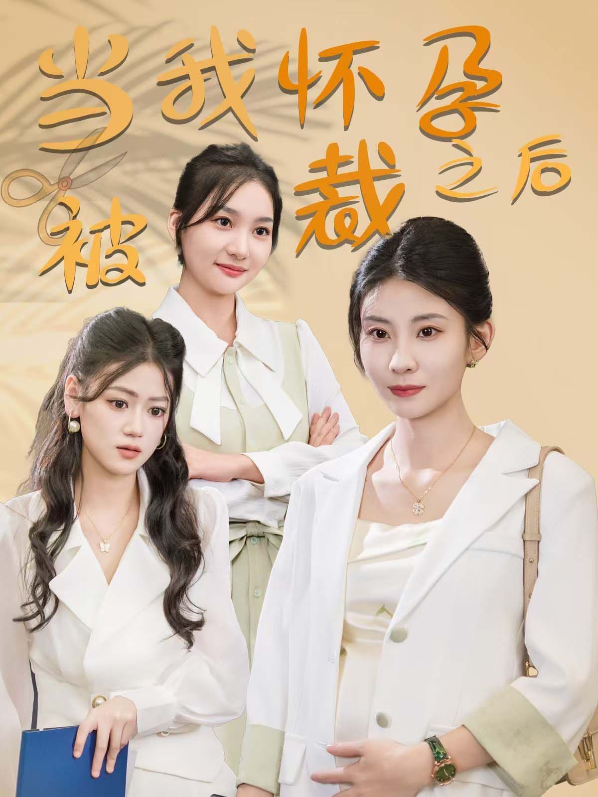 当我怀孕被裁之后封面