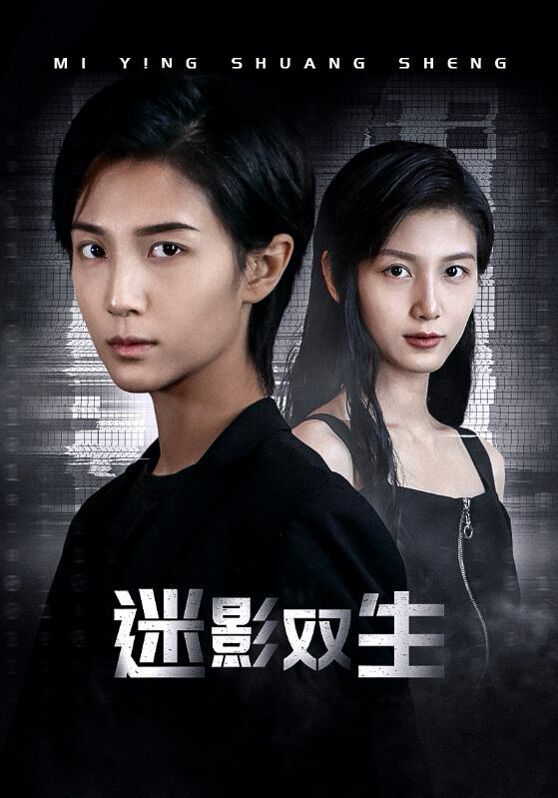 迷影双生封面