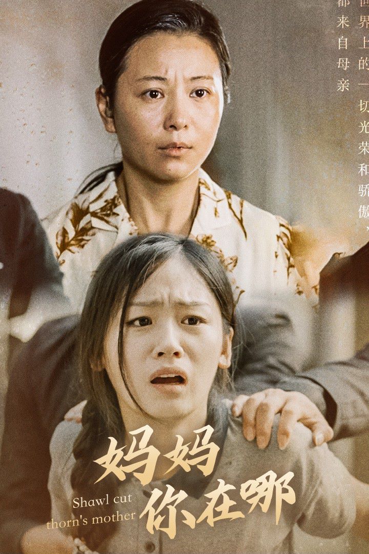 妈妈你在哪（春风不改旧时波）封面