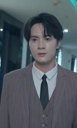 凛冬散尽星河长明封面