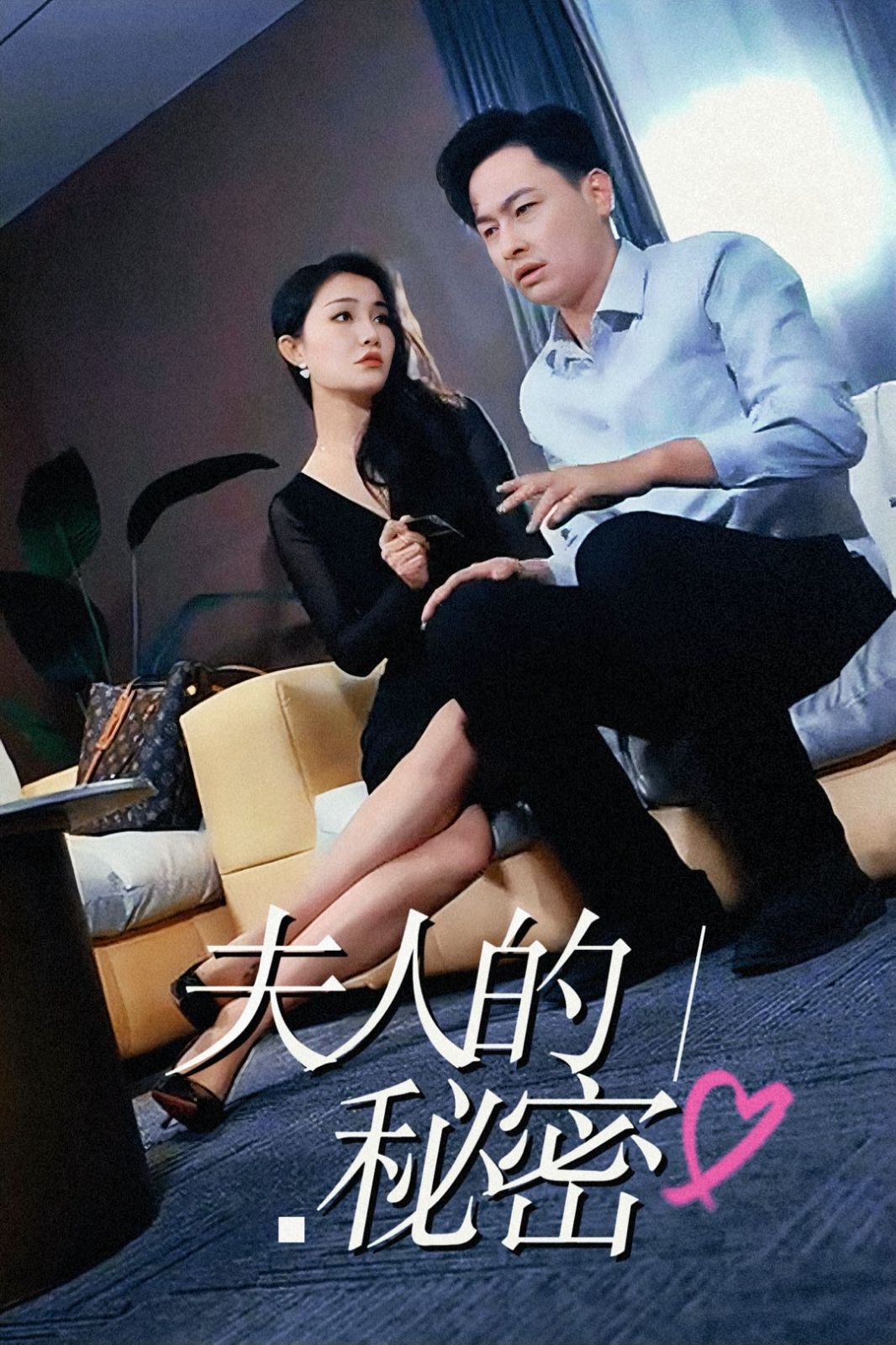 夫人的秘密封面