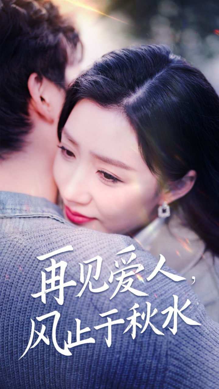 再见爱人风止于秋水封面
