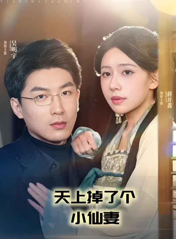 天上掉了个小仙妻封面
