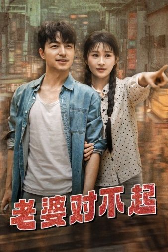 老婆对不起封面