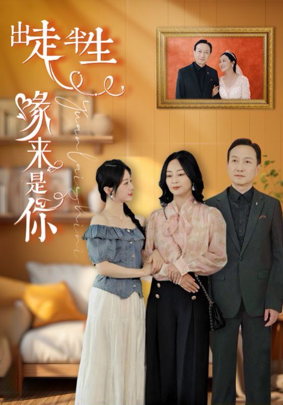 出走半生缘来是你封面