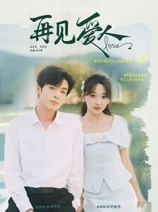 新再见爱人封面