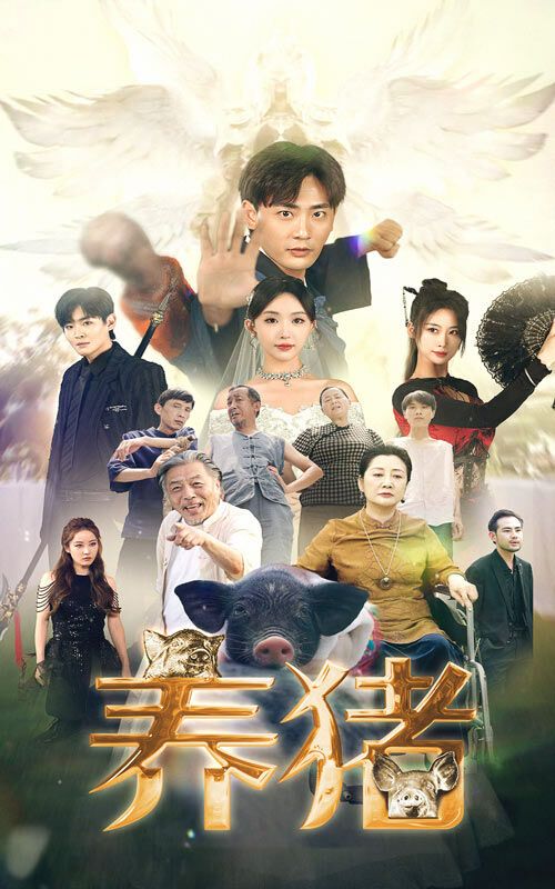 养猪封面