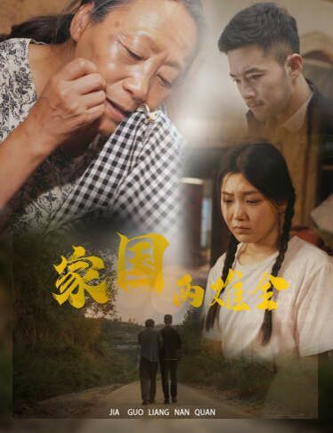 家国两难全（自古忠孝两难全）封面