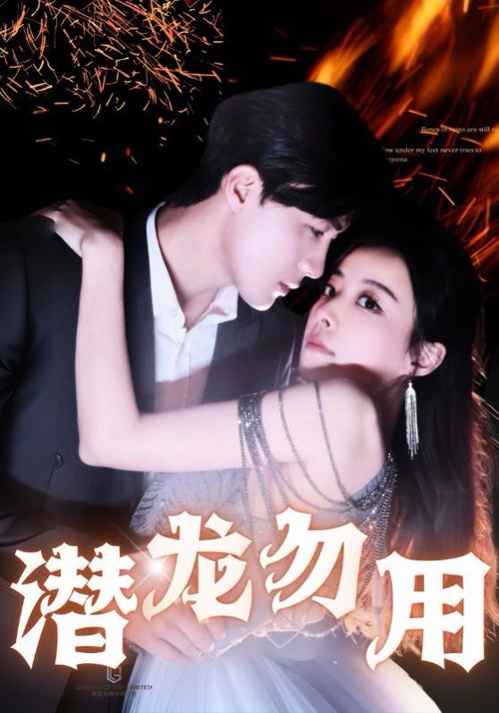 潜龙勿用封面