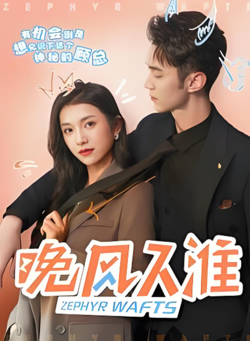 晚风入淮封面