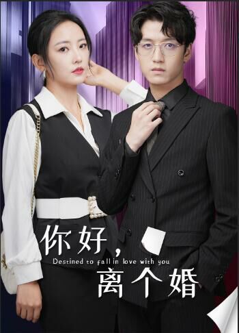 你好，离个婚封面