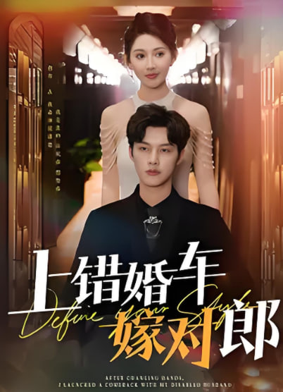 上错婚车嫁对郎封面