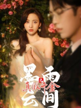 墨雨云间之真假千金封面