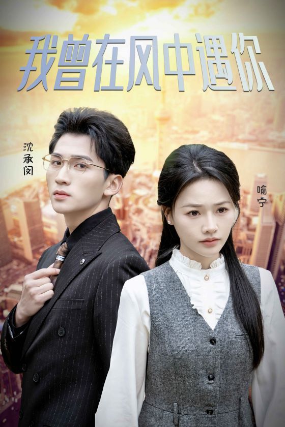 我曾在风中遇你封面