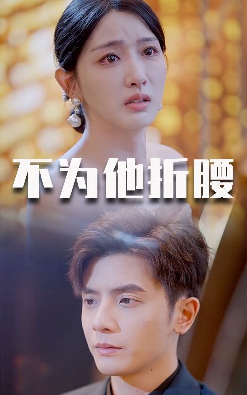 不为他折腰封面