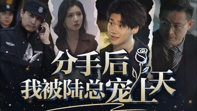 分手后，我被陆总宠上天封面