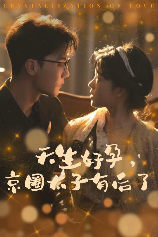 天生好孕京圈太子有后了（你与光共落人间）封面