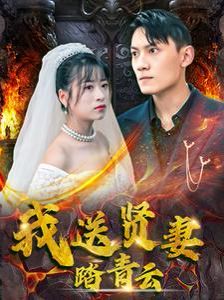 我送贤妻踏青云封面