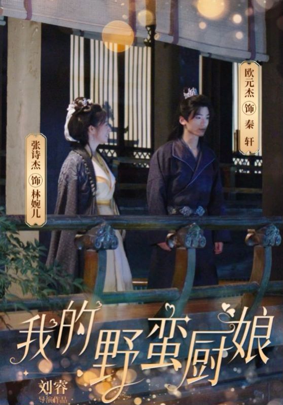 我的野蛮厨娘封面