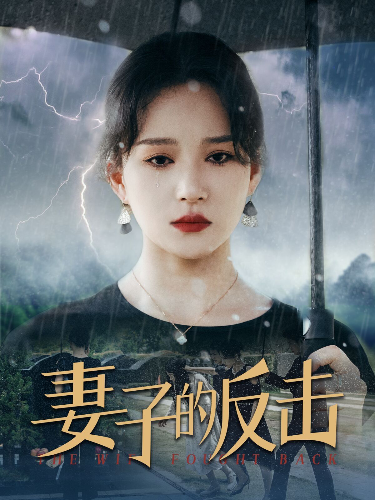 新妻子的反击封面