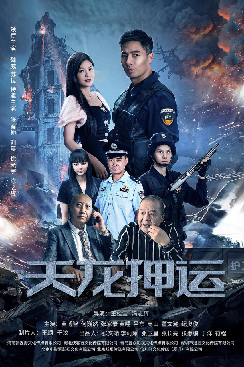 天龙押运封面