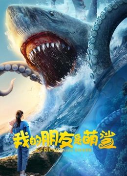 我的朋友是萌鲨封面