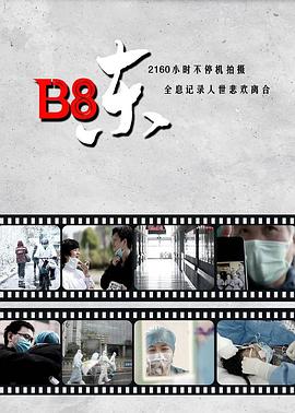 B8东封面