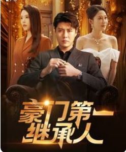 豪门第一继承人封面